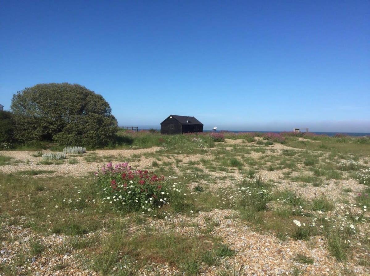 Mariner'S Cottage - On Kingsdown Beach Deal Zewnętrze zdjęcie